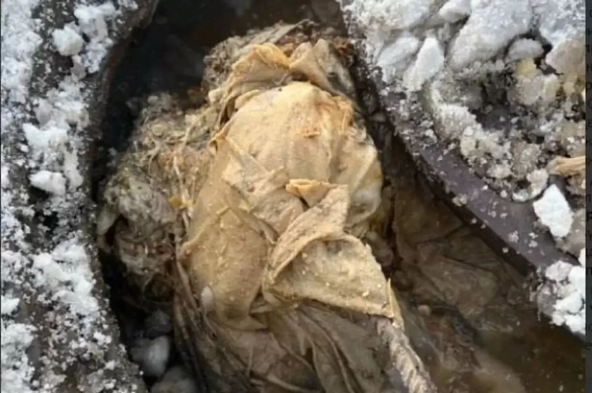 Петербуржцы столкнулись с отключением воды из-за засора