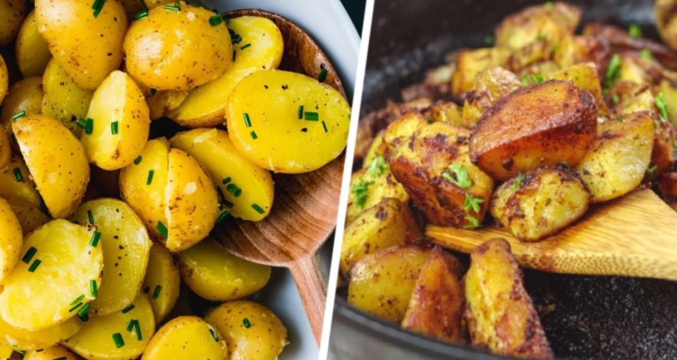 ������������ ����������� ������� � ���������: ������� ������ �����