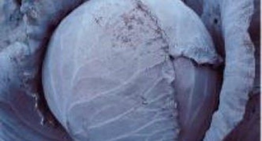 ��� ����� ����� � �������������� �������: ������������, ����� � ����