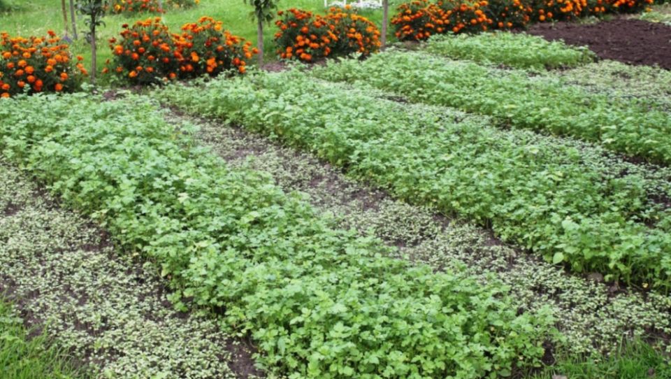 �� ������� ����� �������� ������ � ��� ����� ���������� �������