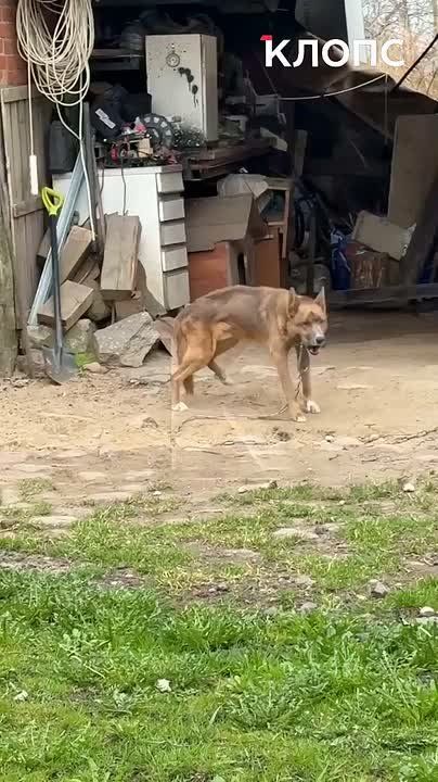 � ������ ��� ������������� ������ ���������� �� ����� �� �������� ����