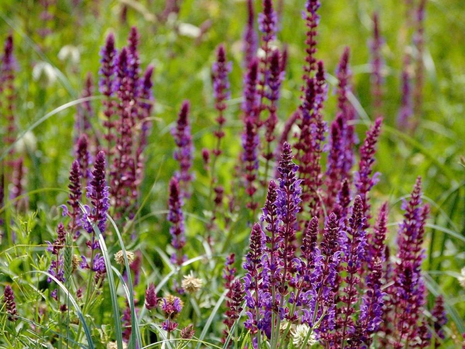 ��� ��������� ������ � ������� �����: ������� ������ ��� ��������