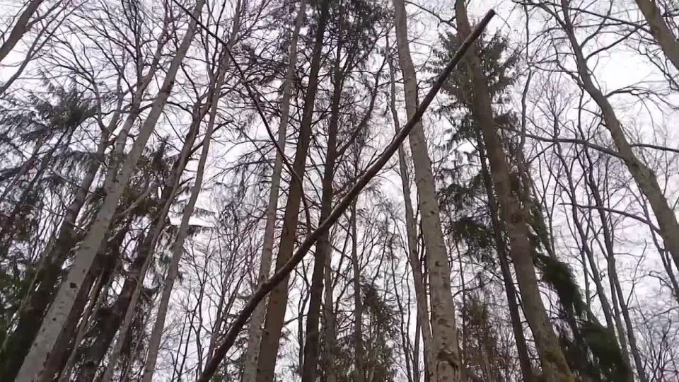 ������� �������, ���!. ����� ����������� ����� ���������� �� +2 �� +4�C, � ������� ���������� �� +7...+10�C