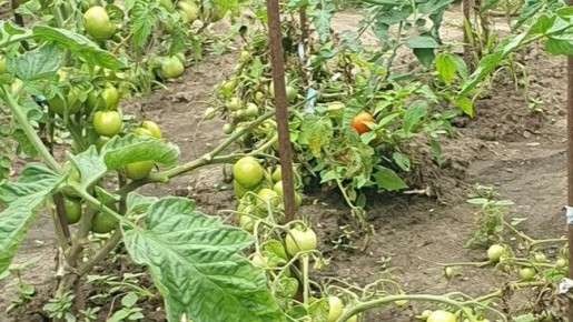 ��� ��������� ������ � ����: ����������� ������ �� ���������