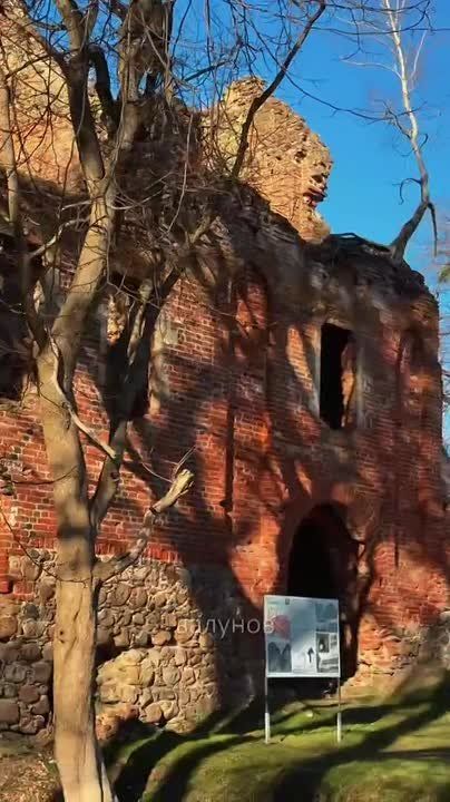 � ������ ���������, �������� �� �����������, ����� ����� ���� �������� ����������� �������� � ����� ������ � ��������� �����