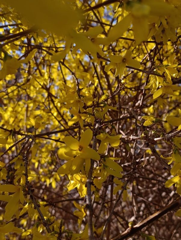 ���� ���������� �����. �������� �������� � ������������ � ����� �������