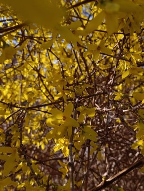 ���� ���������� �����. �������� �������� � ������������ � ����� �������