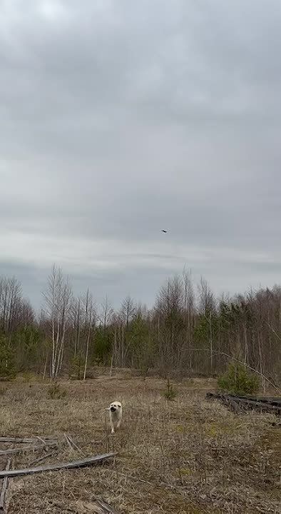 � ��������������� ������� ��������� �� ���� ����� �������