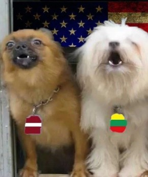 ������ � ����� �� ��������� ���� ������� ����, ������� ���������� �������� ������ � ���� ������