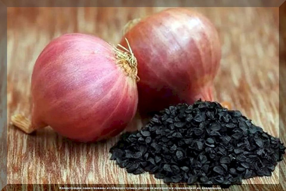 ������������ ��������� ������� ����