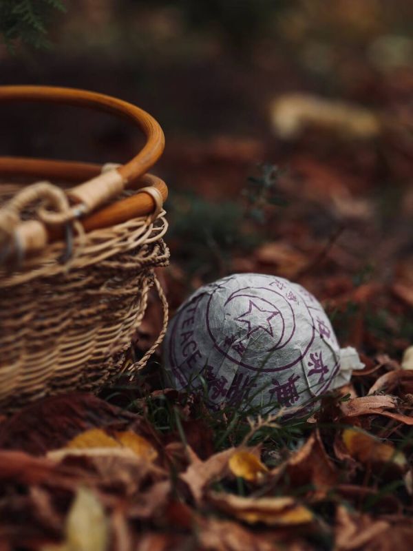 ������� ���: ��������� ����� � ���������� ��� ���� �� �� ��