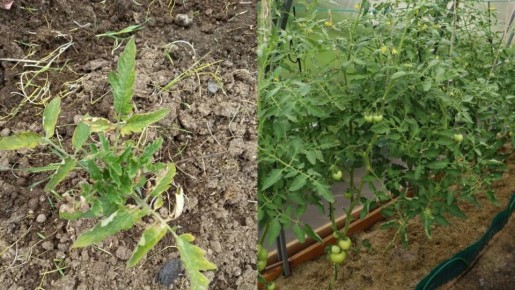 ��� ������� ������ �������� �� ��������������