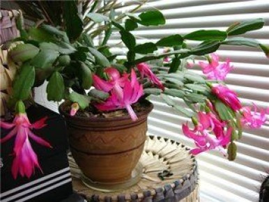 ���������: ������� ����� � ����������� ������������� ������