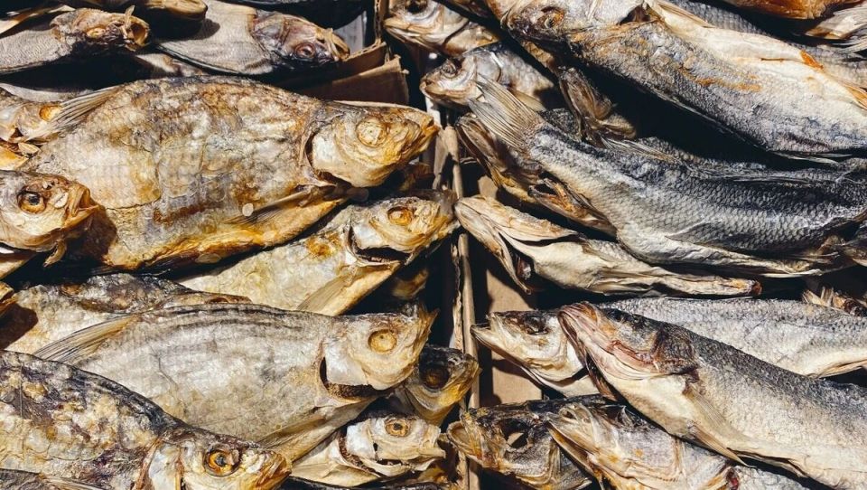 ������ ����������� �� �������� ���� � ������������ ����