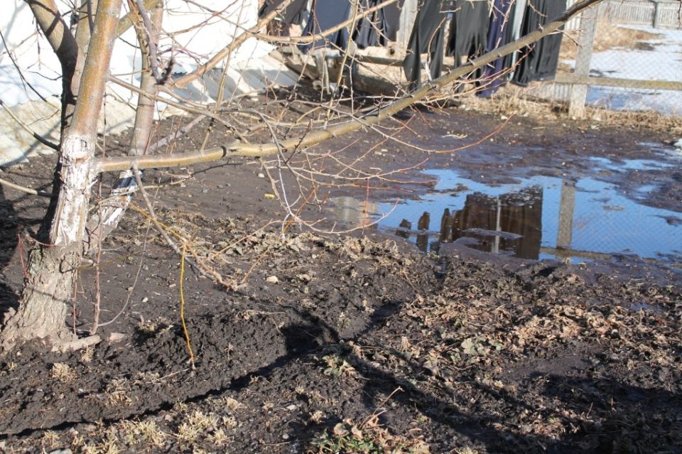 ����� ����: ������ �������� ��� ������� � ��������� ��������