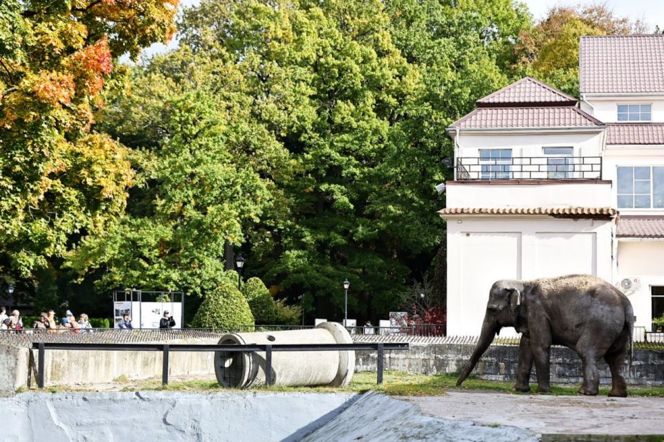 � ������������ ���� ����������, ������� ������������� ������ ������������� ��������