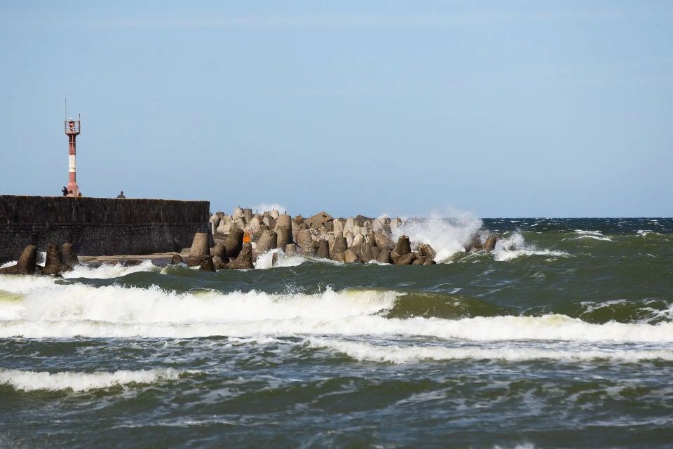 � ������ ����������� �� ��������� ��������������� ������� �������� �����