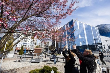 ����� ����� ���� ������: ����� �� ������� ����� �������� ��� ���������� ����� � ��� ����� ������� ����� � ������������