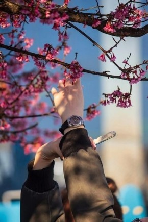 ����� ���, ����� ��������� ���� ��������