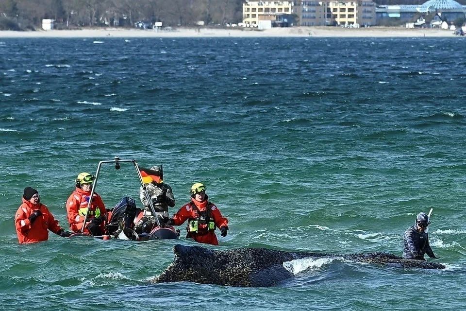 ���������� �� ���� ��� ����� ������ ����� ��������� ������ ����