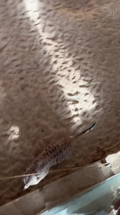 �������� ��� ����� �� ������!