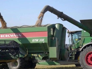 ������ ������������� �������� ������� �� ��������������� �������