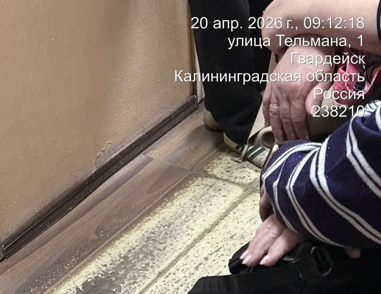 ���� ����� ������������ ������������� �� ������� � ������