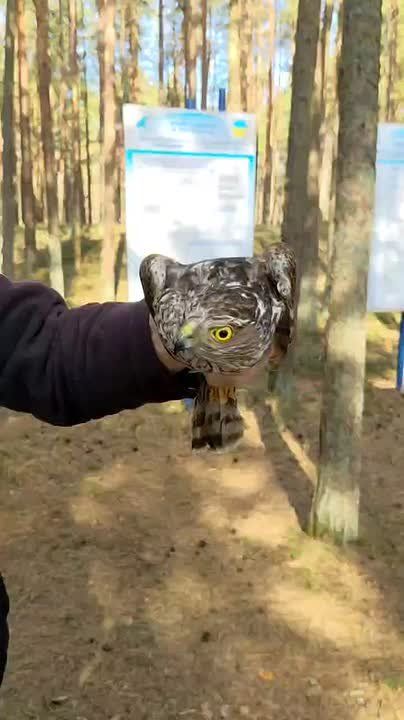 ��� ��� ��������� ������������!