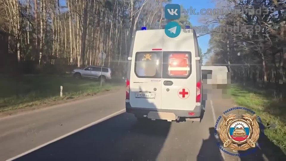 ��������� ����������� �������� ������ �� ������ ����������� � ��������