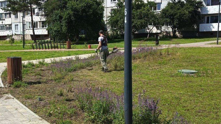 ������ ������������ �������� ���������� �������� �� 124 ���