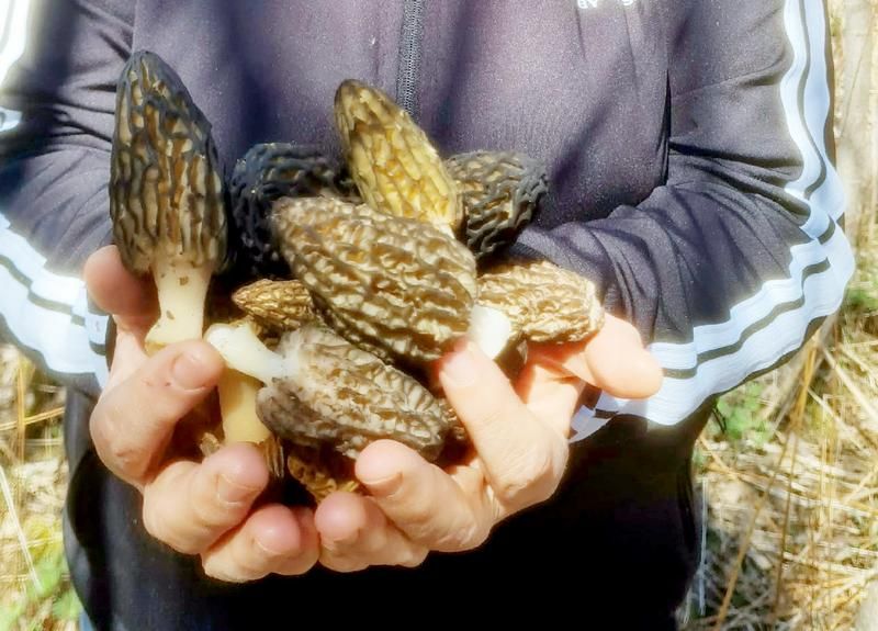 ������� ����� ��������� ���������� ��� � ��������������� �������