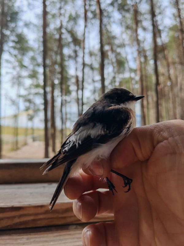 � ������� ����������� �� �������� ���� ������� ������� ����������� �������