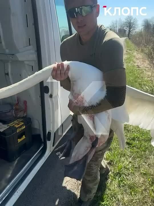 ��������������� ������ ������� ������� ������ � ���� �� �����