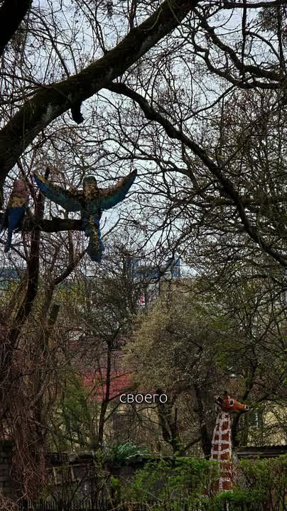 ��� �������� � ������ ����������, ����� ����������� �� ����� ��� ������� ����������� �����������?