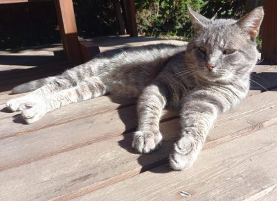 ����������� ���������� ����� ������������ ����� � ����� ���� �����