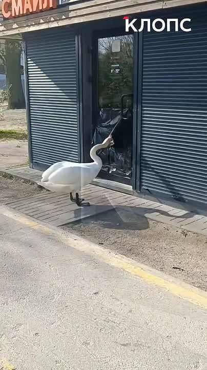 ������-������� ���������� �������� � ��������� �� ������ �����