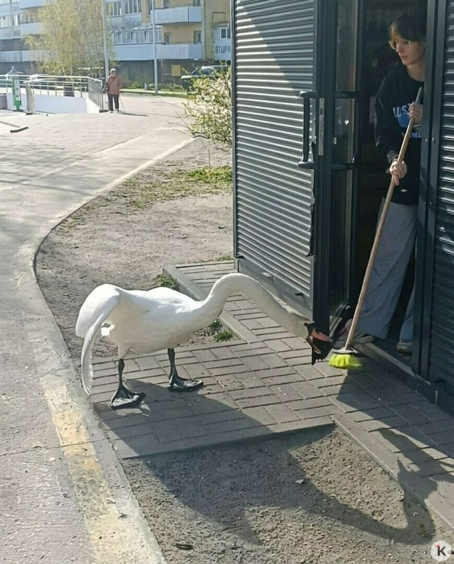 ��������� ��������� � ���� �� ������ ����� ���������� ����������� �� ��������� ��������� ������