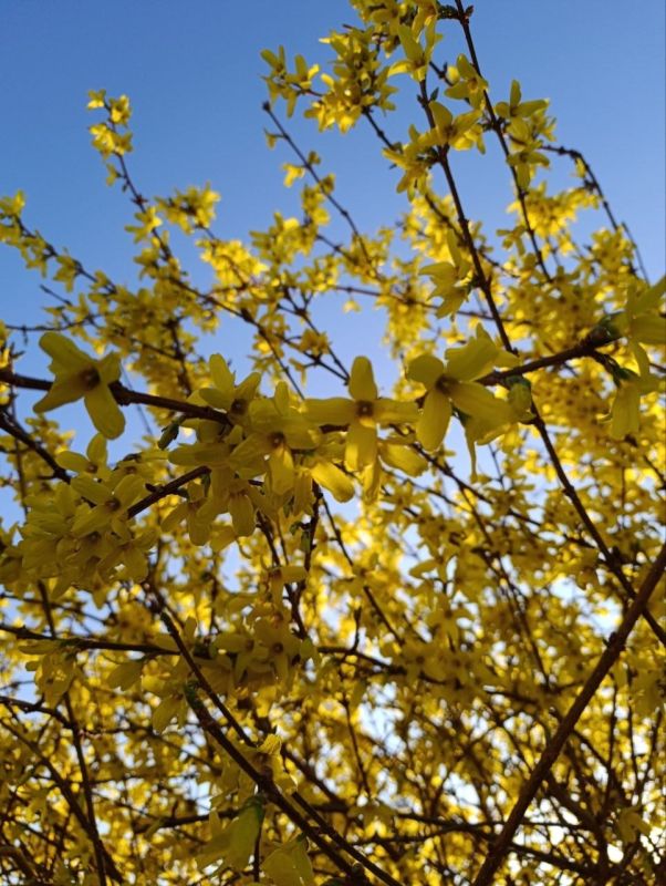 ������ ����! ������� � ��������������� ������� ����� �����, �� ���� ������ �������