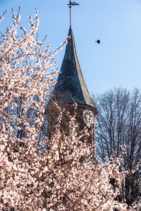 ������ ����� ������ ���������, �������� ������!