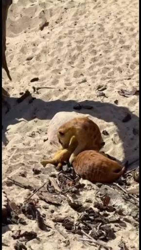 � � ��������. �������� � ��������������� �������� ����� ���� �� �����