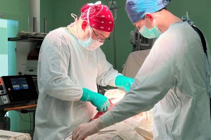 � ������������ ����� ���������� ��������� ���������� �������� �� ������