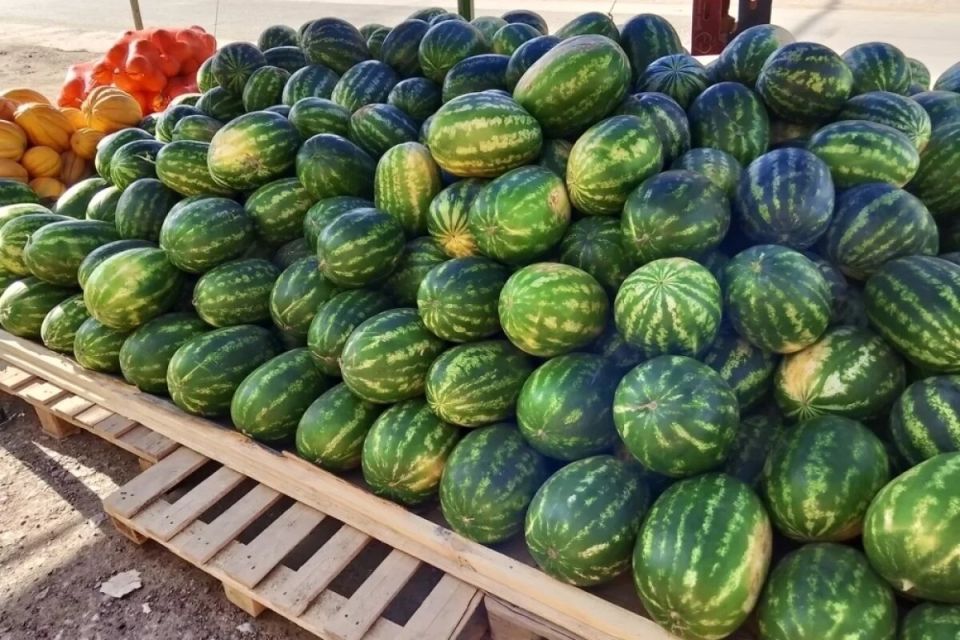 ������ ������ � ���� ������ ����� ������ ������� ����������