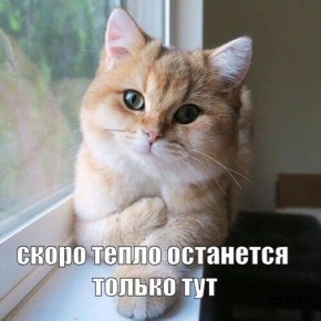 ����� � ������������ ����� ��������� ���������?