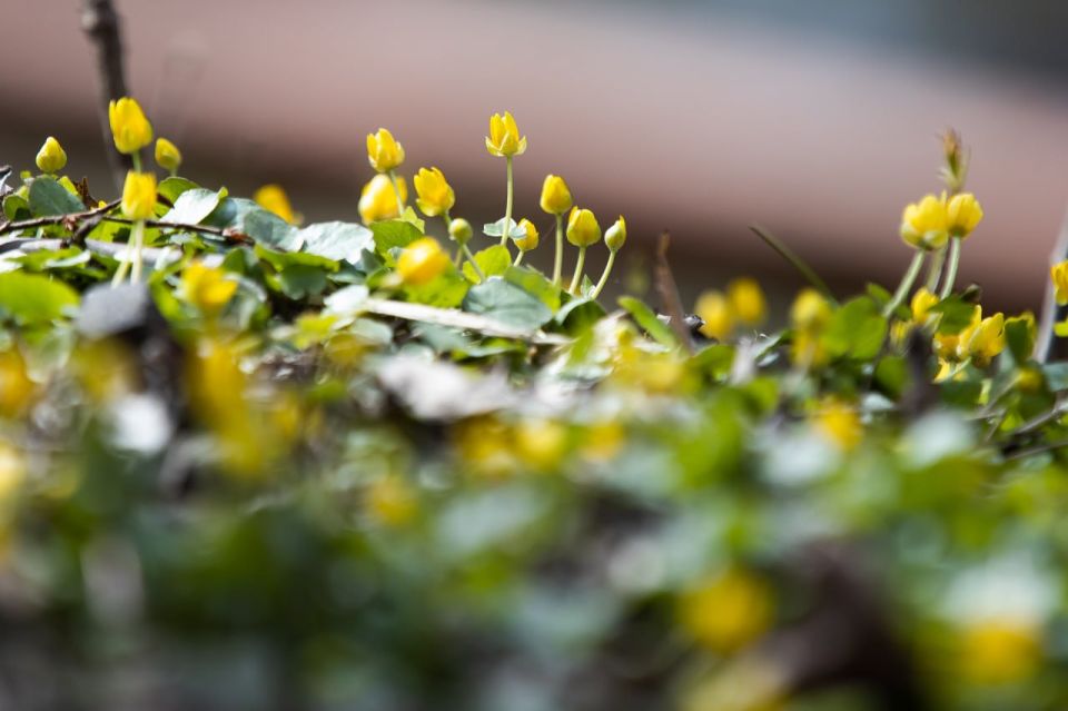 ������� ������ � ������������ � ������� �� 23 ������