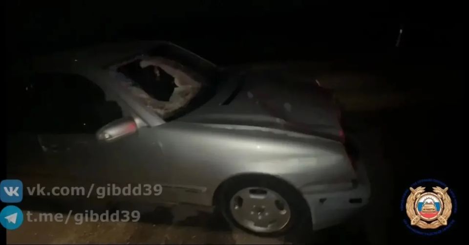 � ��������� ������ ������������ ���������� ��������� ���� ����� ������ �������� � ���