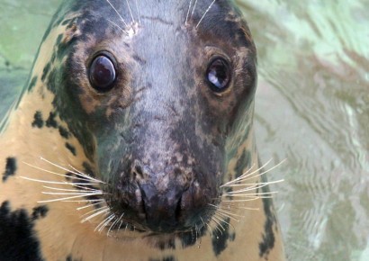 ������� ��������� ����� � ������ �� ������ ���� ��� �������������