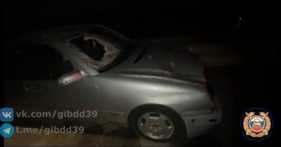 � ��������� ������ ���������� ��������� ���� ����� ������ �������� � ���