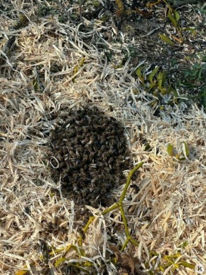 �� ������� ����� � ������������ �������� ����� � �������