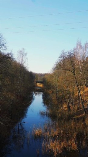 ��� �������� ����� ��������������� �������?