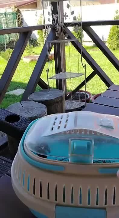 �� �����, ��� ������ ����� ����� 4 ������?